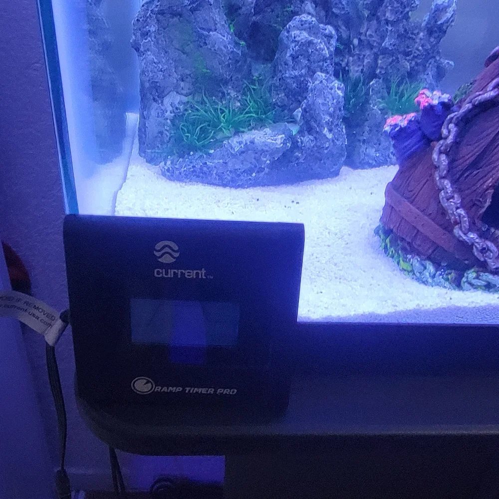 tank fish freshwater includes tank stand 30lx12d, 20h 30g filter tidsl 75, orbit